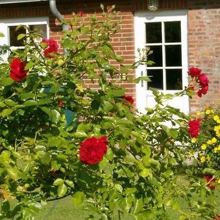 Der Lebensgarten Heckenrose 아파트 *