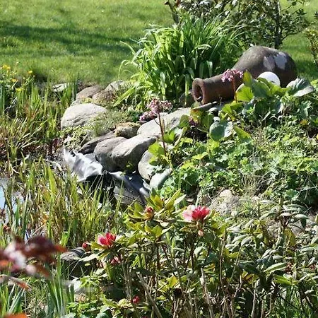 Der Lebensgarten Heckenrose Risum-Lindholm