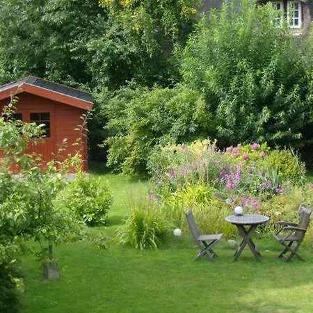 Der Lebensgarten Heckenrose Risum-Lindholm